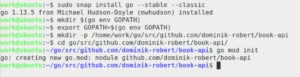 <a href="#artRef-f1">Abbildung 1</a>: Der letzte Befehl, »go mod init«, funktioniert nur mit neueren Go-Versionen.
