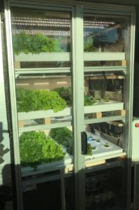 <a href="#artRef-f1">Abbildung 1</a>: Die vertikale Farm verwendet einen Glasschrank als Gewächshaus. Diverse Sensoren überwachen die Salatproduktion.