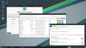 <a href="#artRef-f1">Abbildung 1</a>: In Manjaro&nbsp;19.0.2 kann das Tool Bauh jetzt auch Snaps und Flatpak-Pakete installieren.