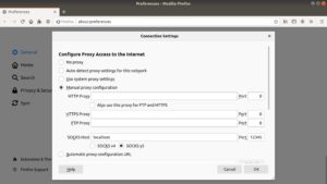 <a href="#artRef-f4">Abbildung 4</a>: Der Socks-Proxy, in Firefox eingetragen.