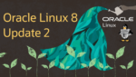 Oracle hat sein auf Red Hat Enterprise Linux basierendes Oracle Linux auf Version 8.2 angehoben. Darin enthalten sind die Neuerungen von RHEL 8.2 und auch Oracle-eigene Anpassungen.