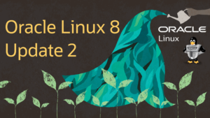 Oracle hat sein auf Red Hat Enterprise Linux basierendes Oracle Linux auf Version 8.2 angehoben. Darin enthalten sind die Neuerungen von RHEL 8.2 und auch Oracle-eigene Anpassungen.