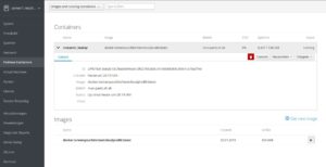 <a href="#artRef-f2">Abbildung 2</a>: Anstelle von Docker setzt Cockpit als Container-Verwaltung auf Podman.