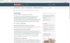 <a href="#artRef-f5">Abbildung 5</a>: In &Ouml;sterreich informiert die Wirtschaftskammer &uuml;ber M&ouml;glichkeiten der F&ouml;rderung f&uuml;r neue Unternehmer.