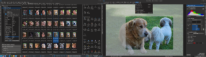 Mit der Version 7 der freien Fotoverwaltungssoftware Digikam haben sich die Entwickler rund ein Jahr lang beschäftigt.