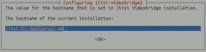 Abbildung 2: Beim Installieren von Jitsi Meet l&auml;sst sich die neu eingerichtete Subdomain bereits angeben.