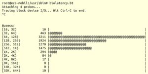 Abbildung 4: Latenzzeitmessung von Block-IO mit »biolatency.bt«.