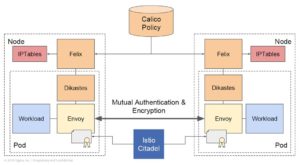 Abbildung 5: Istio und Calico sind für Container-Netze quasi ein Dream-Team: Calico stellt die L3-Verbindung her, Istio nutzt sie dynamisch. Quelle: Tigera