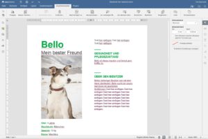 Abbildung 10: In Onlyoffice fasst ein Reiter mit Men&uuml;leiste alle Werkzeuge zur Teamarbeit zusammen.