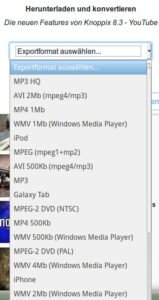 Abbildung 4: Video DownloadHelper bringt auch einen Formatumwandler mit.
