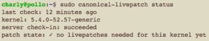 Abbildung 2: Der Livepatch-Status eines Systems l&auml;sst sich jederzeit pr&uuml;fen.