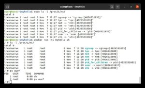 Abbildung 2: Für jeden Container legt Linux eigene Namespaces an, die sich über »/proc« auslesen lassen. Das Bild zeigt ein Beispiel für einen Busybox-Container.