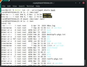 Abbildung 5: Im privilegiert gestarteten Docker-Container lässt sich der Nutzer die verfügbaren Festplatten anzeigen.