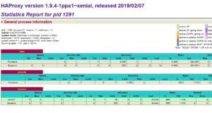 Abbildung 1: HAProxy bietet eine Status-Page mit grundlegenden Details zur aktuellen Nutzung des Diensts. Quelle: HAProxy
