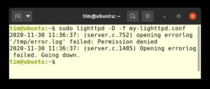 Abbildung 2: Über den Parameter »-D« bleibt Lighttpd im Vordergrund und gibt im Terminal Meldungen aus. Das ist beispielsweise nützlich, um schnell eine neue Konfiguration zu testen.