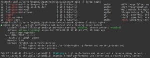 Abbildung 5: Nach dem ersten Durchlauf von Cfengine auf dem Ubuntu-Client ist Nginx installiert und gestartet.