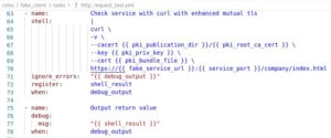 Abbildung 8: Der Aufruf zum Testen eines HTTPS-Requests.