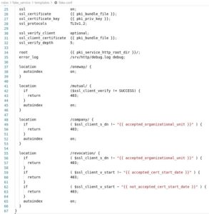 Abbildung 9: Ein Ausschnitt aus dem Nginx-Templating.