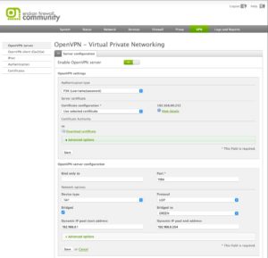 Abbildung 3: Auch ein Open-VPN-Netzwerk kann die Endian-Community-Version realisieren.