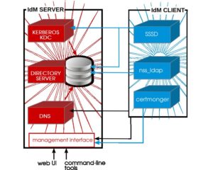 Abbildung 1: FreeIPA, der Kern von Red Hats IdM, spricht LDAP. Es ersetzt das bisher genutzte OpenLDAP in RHEL 8 vollständig.