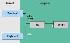 Abbildung 1: Tastatur und Terminal verbindet der Kernel normalerweise über ein TTY mit dem Skript.