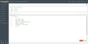 Abbildung 2: … und die formatierte JSON-Ansicht eines konkreten Datensatzes.