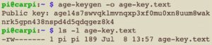 Abbildung 1: Das Erzeugen einer Schl&uuml;sseldatei &uuml;bernimmt Age-keygen.