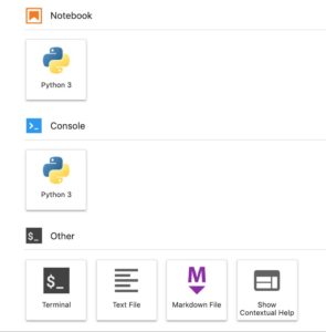 Abbildung 1: Der Launcher erlaubt das Starten von verschiedenen Jupyter-Anwendungen.