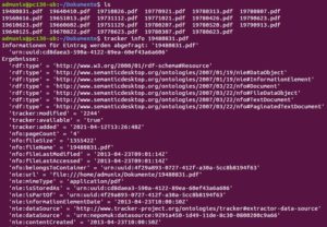 Abbildung 3: Die Elemente der Ontologie Nepomuk in der Darstellung im Terminal.