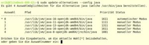 Abbildung 4: Sie können mehrere Versionen der Java-Laufzeitumgebung im System vorhalten und bei Bedarf eine davon auswählen.