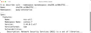 Abbildung 4: Die Fähigkeiten von Clair lassen sich in OpenShift nicht nur per GUI nutzen, sondern auch auf der Kommandozeile.