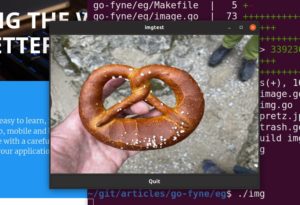 Abbildung 1: Die simple Fyne-App aus <a href="#artRef-l1">Listing 1</a> zeigt ein Foto an.
