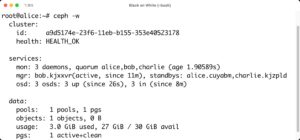 Abbildung 2: Cephadm stampft in Windeseile einen Ceph-Cluster aus dem Boden, der unter der Haube auf in Container verpacktes Ceph setzt.