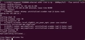 Abbildung 4: Nach einem Neustart klappt nun das Login auf dem Testsystem.