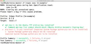 Abbildung 6: Cinc Auditor, das Gegenstück zu Inspec (hier im Bild), funktioniert bereits gut und ist produktiv einsetzbar.