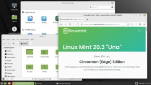 Abbildung 1: Die Edge-Edition von Linux Mint gibt es ausschlie&szlig;lich mit Cinnamon-Desktop.