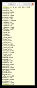 Abbildung 1: Der Go-Compiler kennt über 40 verschiedene Ziele, darunter sogar Webassembly (WASM).