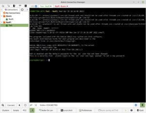 Abbildung 3: Über virtuelle Terminals halten Sie im Ásbrú Connection Manager mehrere Verbindungen simultan geöffnet.