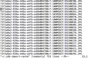 Abbildung 5: In der Cache-Datei merkt sich der Importierer Dateien mitsamt der UUID der verwendeten SD-Karte.