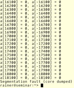 Abbildung 4: &Uuml;berlauf eines &raquo;std::vector&laquo;.