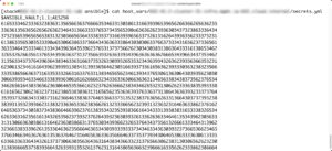 Abbildung 4: Ansible Vault bietet eine komfortable Möglichkeit, Passwörter innerhalb des Automatisierers zuverlässig und sicher zu verwalten. Quelle: Martin Loschwitz