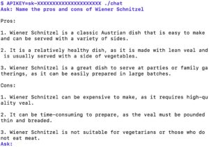 Abbildung 4: Der Chatbot als Terminalanwendung mit OpenAI.com als Backend.