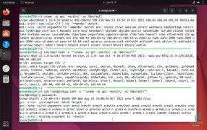 Abbildung 2: Der C-Compiler zeigt an, für welche Prozessoren er Code erzeugen kann. Dabei geht es oft um Optimierung.