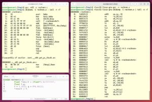 Abbildung 6: Zwei GCC-Versionen übersetzen ein Programm in x86- und riscv32- Binaries.