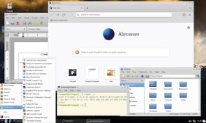 Abbildung 1: Trisquel Mini nutzt LXDE als Desktop und offeriert den eigenen Abrowser, der auf Firefox basiert.