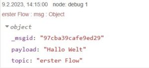 Abbildung 5: So sieht die Debug-Ausgabe des Nachrichtenobjekts aus.