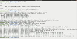 Abbildung 4: Mit diesen Kommandos generieren Sie das Testmodul, laden es und sehen sich das Ergebnis an.