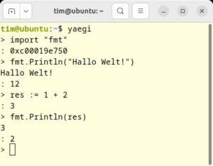 Abbildung 4: Yaegi bietet einen Interpeter mit REPL-Modus, der wie hier einzelne Go-Befehle direkt ausführt.
