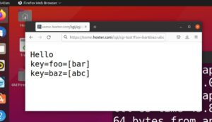 Abbildung 2: Das Go-Programm aus <a href="#artRef-l1">Listing 1</a> als CGI-Skript in Aktion.