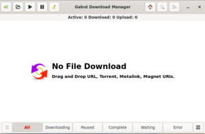 Abbildung 1: Das Programmfenster des Gabut Download Manager wirkt sehr spartanisch.